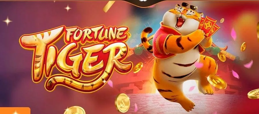 p7999 Live Casino
